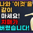 바나나와 상극인 음식 TOP 5! 절대 같이 섭취하시면 안됩니다!! 건강한 노년기 위해 먹는 바나나! 꼭 이렇게 드세요. 암과 치매 예 이미지