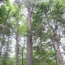 새울신협 이미지