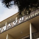 태안갯벌체험 블레스오션 태안조개잡이펜션 맛조개잡는곳 포인트