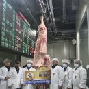 홍성한우 IPN뉴스