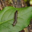 나누리메드 이미지