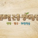 동탄푸른어린이집 이미지