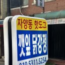 뚝섬한강공원-79 이미지