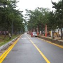 율포해수욕장 이미지