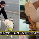 보고식당 이미지