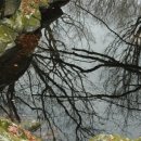 관음사앞 이미지