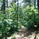 국사1리 마을회관 이미지