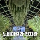 대구 노비아갈라웨딩 전자관 보타닉가든 주차 뷔페 하객 후기