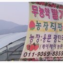 제이제이농장 이미지