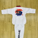 용인대 타이곤 태권도 이미지