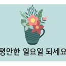 365일연향대형약국 이미지