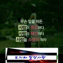 북극성공인중개사사무소 티스토리