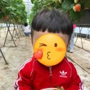 손관성농장 네이버블로그