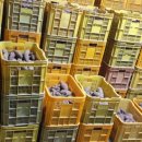 원북농장 이미지