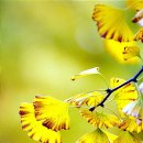 이륙농장 이미지