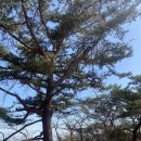 가재골산장 | 2023년 등린이의 등산로그 (4) :: 서울 노원구 수락산(2코스, 내원암-약수터-정상)