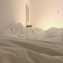 콜린펜션 | [가평] “ 가평 콜린 펜션, 그린카 렌트 후기 “