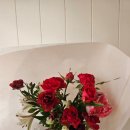 주흥길 24 | [반포성모병원 꽃집] 반포꽃집 나무수플라워앤가든 꽃다발 후기 (상견례 선물)