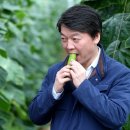 오이씨농장1 이미지