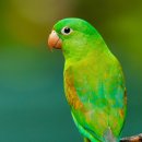 한국폴리텍 특성화대학 항공캠퍼스 이미지