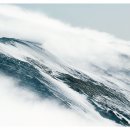 대구연합행정사사무소 | 외국인 무사증 입국, 출입국 행정사(천안출입국사무소)