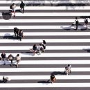 우리 강아지가 말을 해요 이미지