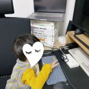 정원일기