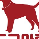 창원강아지분양 고양이분양 도그마루 이미지