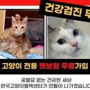 포인핸드 건강검진센터 이미지