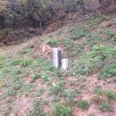 강동-길동-12 이미지