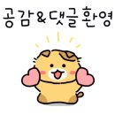 베니키아 호텔 카카오 이미지