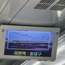 대구인인척하는 김해인의 삶