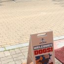 와요커피부천 | 부천 상동역 애견동반카페 와요커피