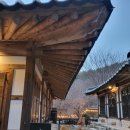 지에스25소양벚꽃로점 이미지