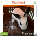 중사지농장 이미지