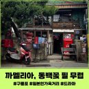 만랩커피포항 - 포항시 남구 대이로159번길 18-7 | 까멜리아 / '동백꽃 필 무렵' 촬영지 / 구룡포 일본인가옥거리 내 카페