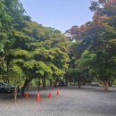 하얀배 민박 이미지