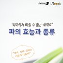 식탁에 빠질수 없는 식재료, 파의 효능과 종류 이미지