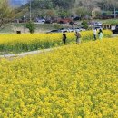 김해낙동강레일파크 이미지