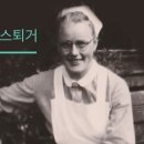 푸른 마가렛