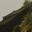 건하다 이미지