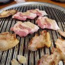 한라산도새기 이미지