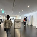 토요일 | 데미안 허스트 개인전 전시 토요일 후기