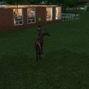 도도한 펫츠 이미지