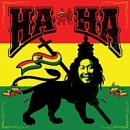 리얼타운비즈니스 타코 이미지