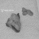 미성동-38 이미지