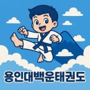 용인대백운태권도 이미지