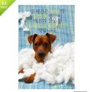 애니팜약국 이미지