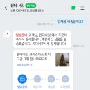 투박이 이미지