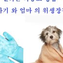 하이콤